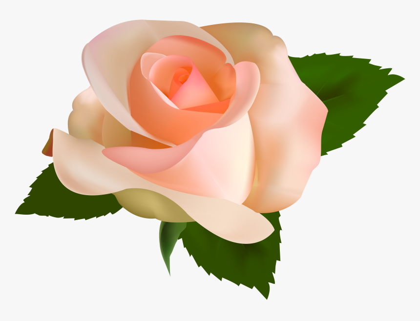 Detail Roses Transparent Background Nomer 39