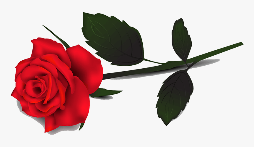 Detail Roses Transparent Background Nomer 6