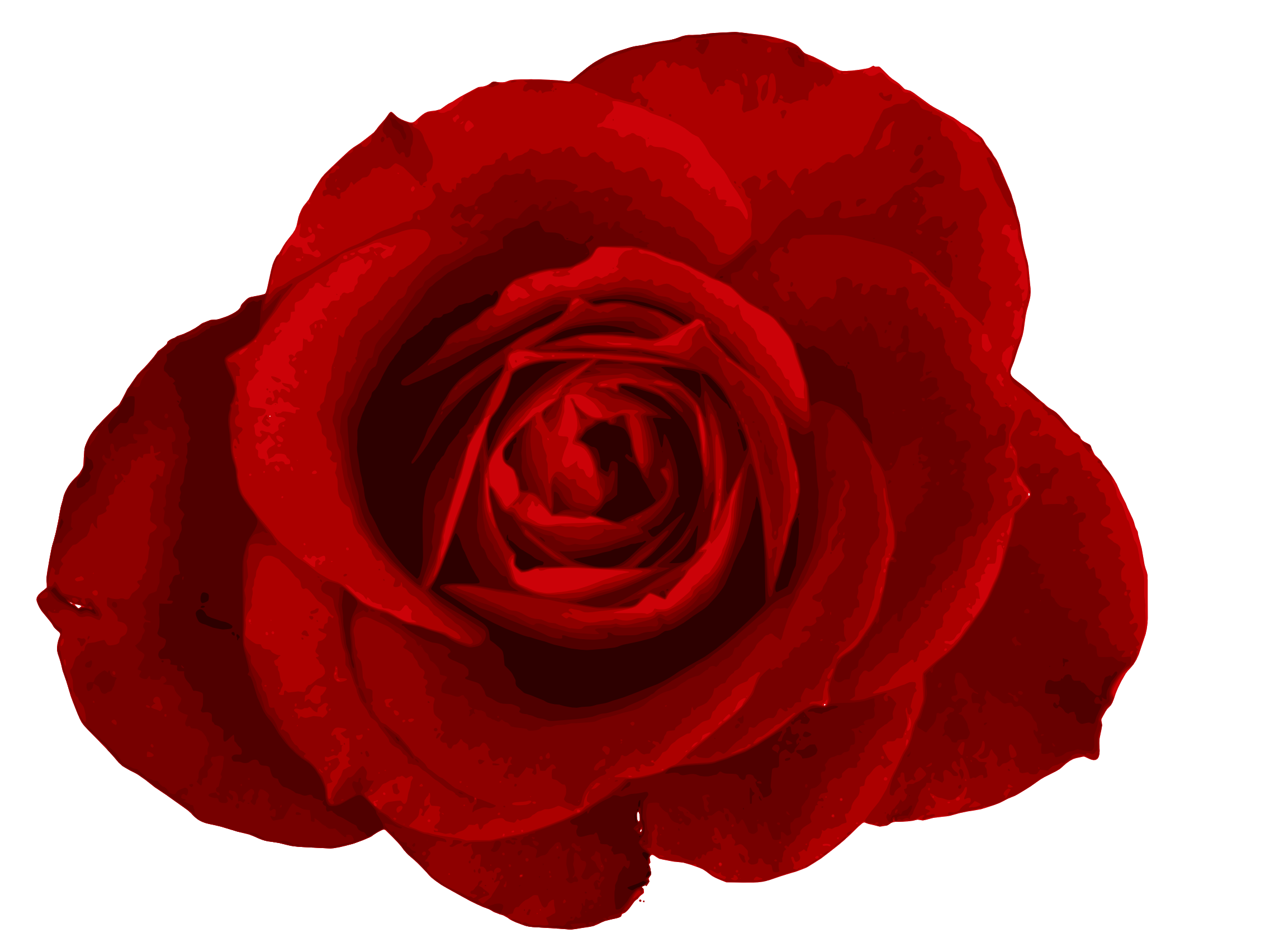 Detail Roses Transparent Png Nomer 11