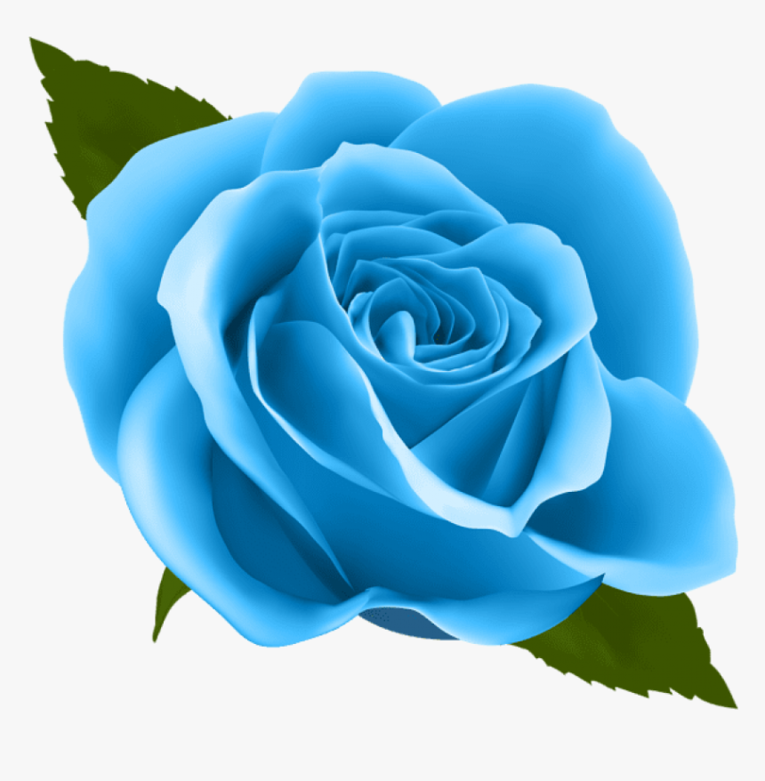 Detail Roses Transparent Png Nomer 17