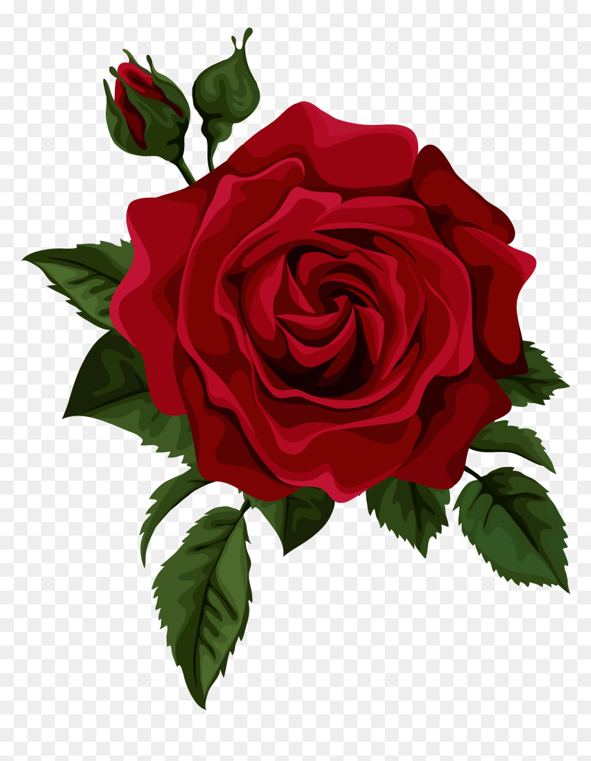 Detail Roses Transparent Png Nomer 19