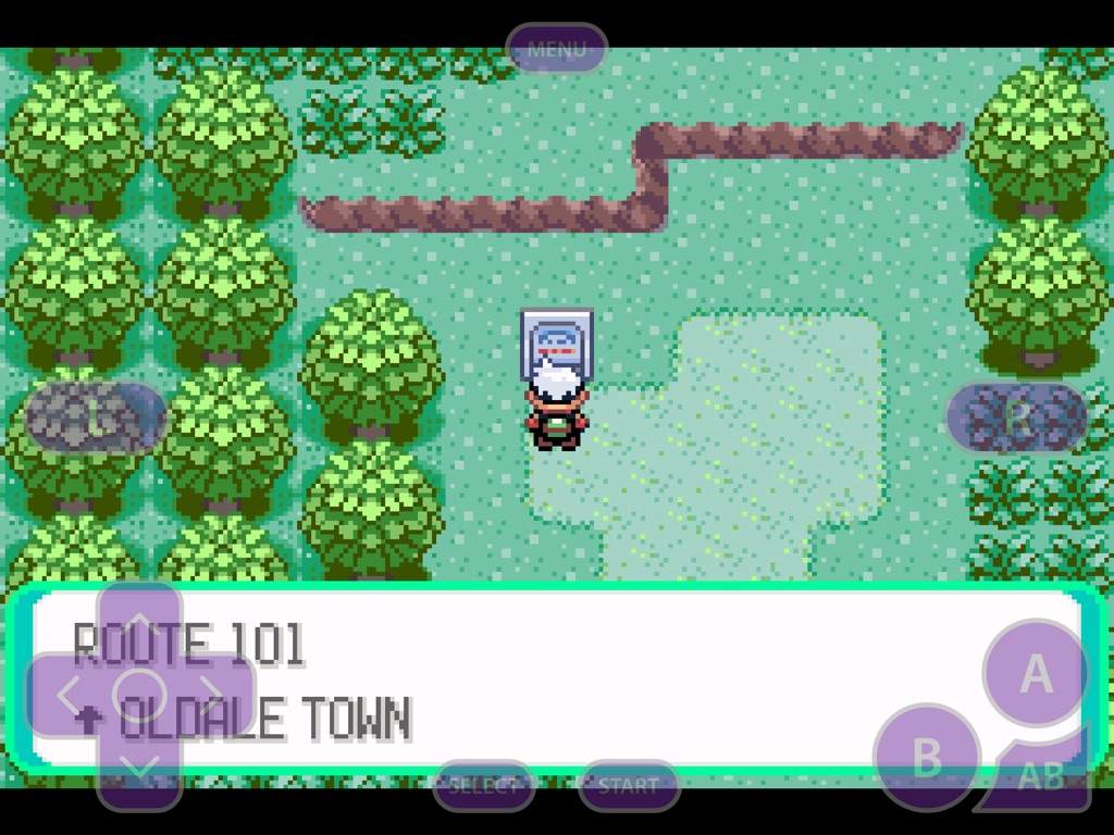 Detail Route 103 Pokemon Emerald Nomer 12