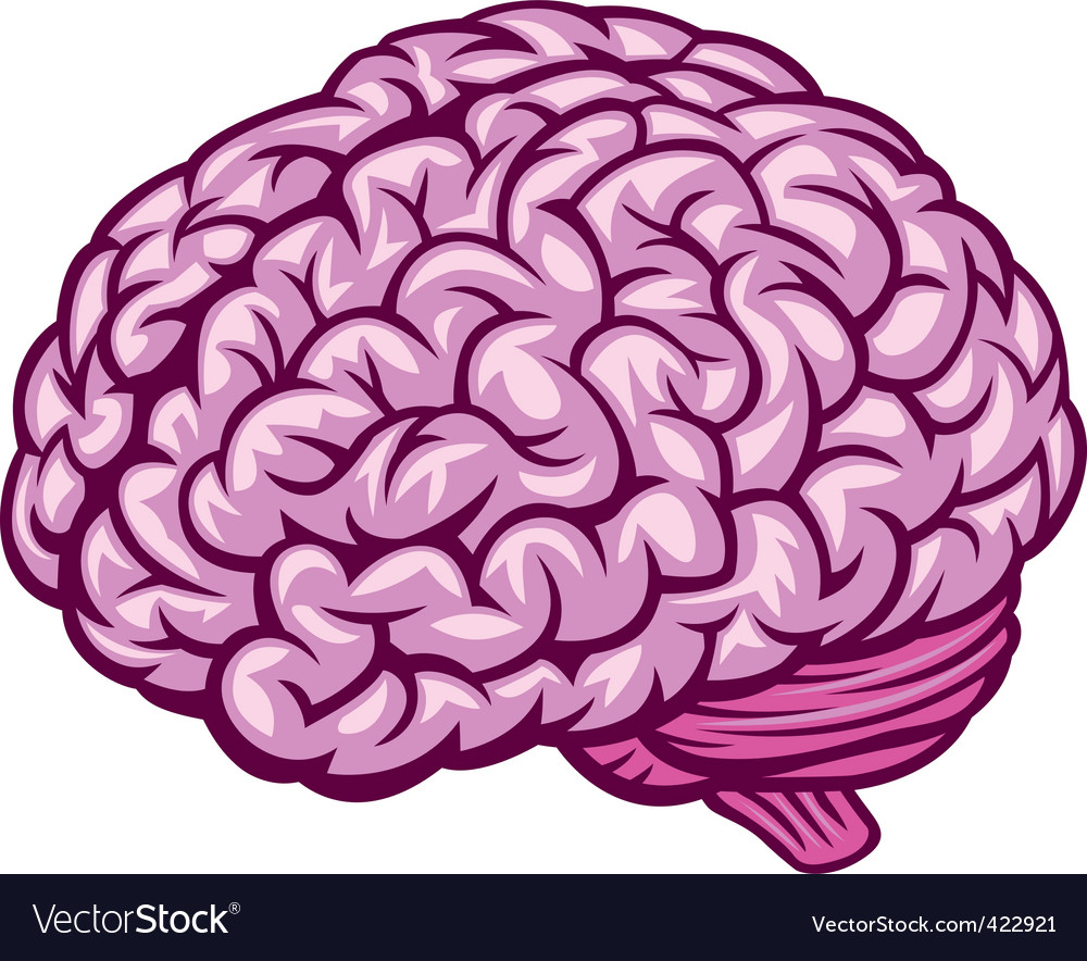 Detail Royalty Free Brain Images Nomer 9