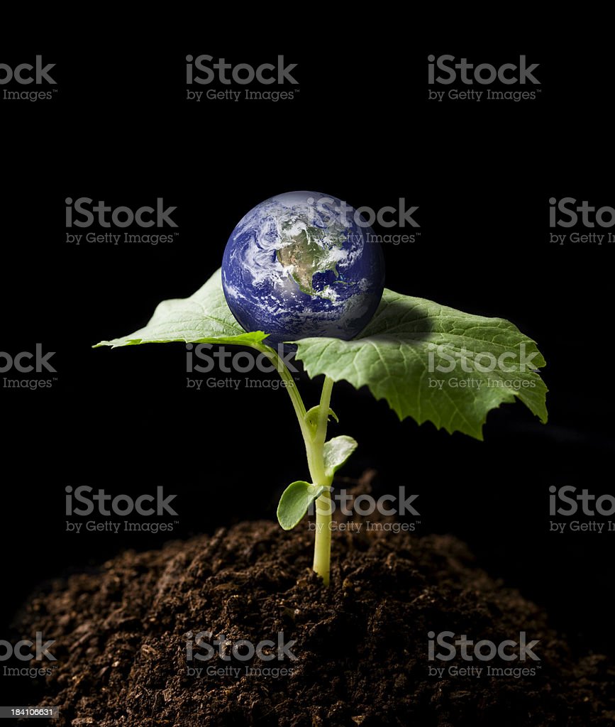 Detail Royalty Free Earth Images Nomer 54