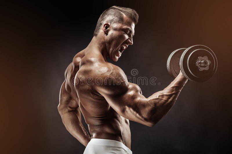 Detail Royalty Free Fitness Images Nomer 53