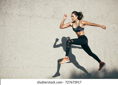 Detail Royalty Free Fitness Images Nomer 9