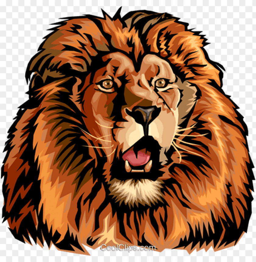 Detail Royalty Free Lion Nomer 22