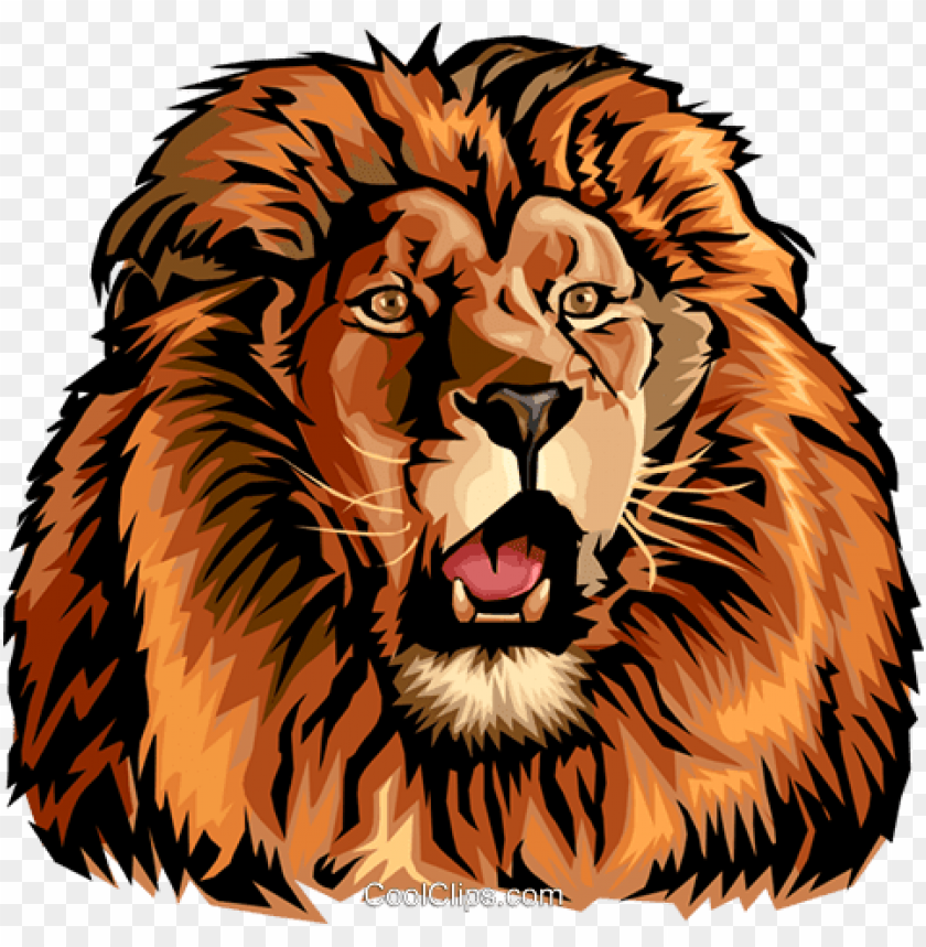 Detail Royalty Free Lion Images Nomer 28