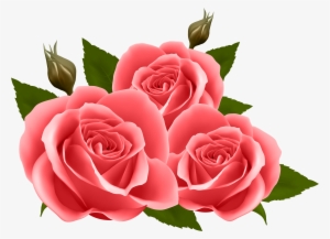 Detail Royalty Free Rose Nomer 15