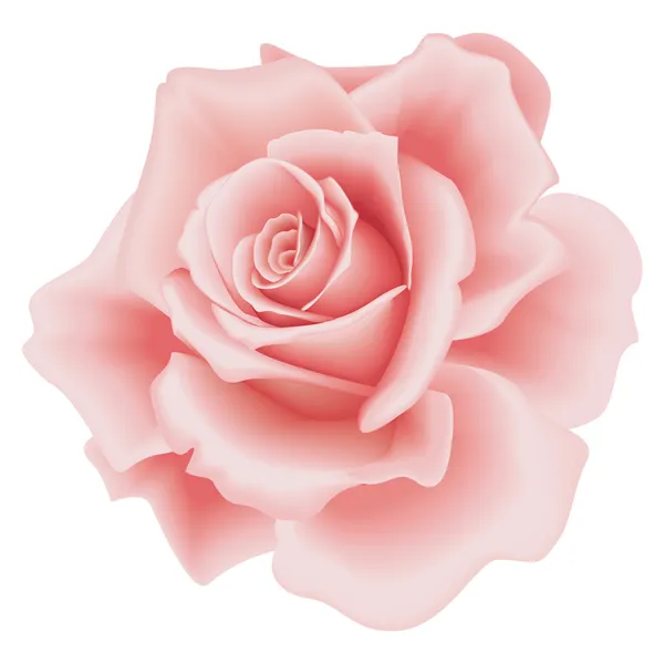 Detail Royalty Free Rose Image Nomer 33