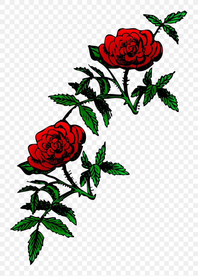 Detail Royalty Free Roses Royalty Free Nomer 50