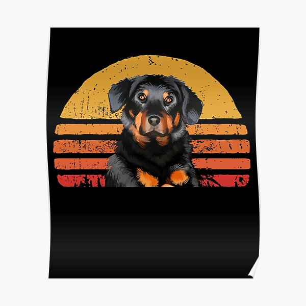 Detail Beauceron Rottweiler Doberman Nomer 19