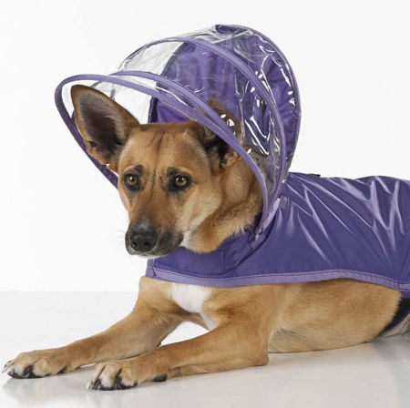 Detail Dog Raincoat German Shepherd Nomer 20