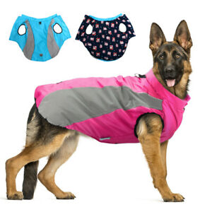 Detail Dog Raincoat German Shepherd Nomer 23