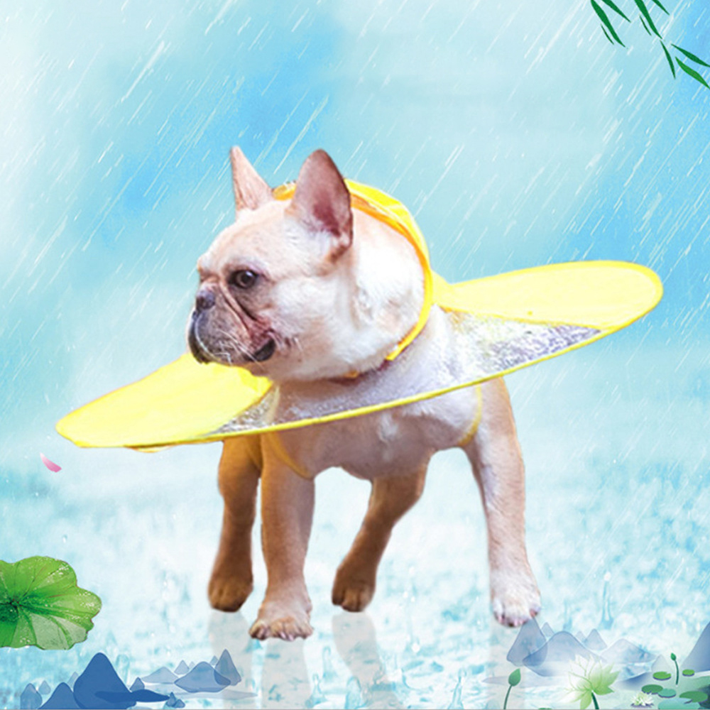 Detail Dog Raincoat Umbrella Nomer 20