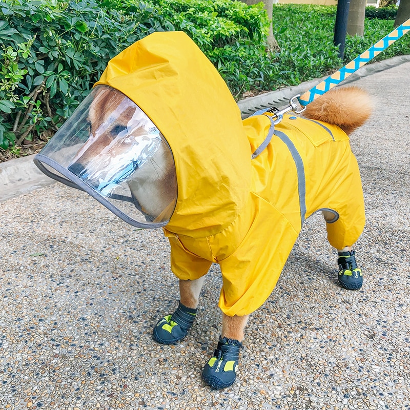 Detail Dog Raincoat Umbrella Nomer 27