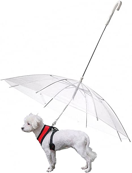 Detail Dog Raincoat Umbrella Nomer 4