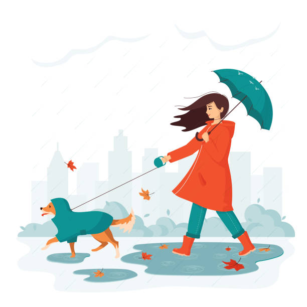 Detail Dog Raincoat Umbrella Nomer 39