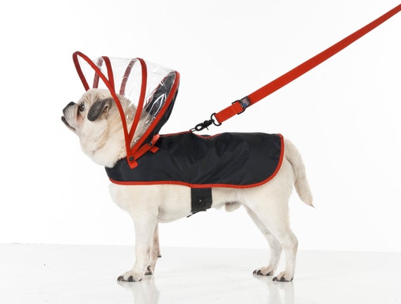 Detail Dog Raincoat Umbrella Nomer 43