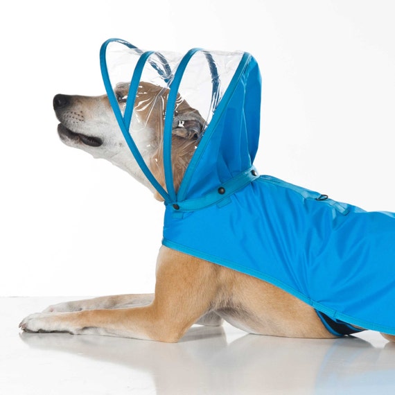 Detail Dog Raincoat Umbrella Nomer 44