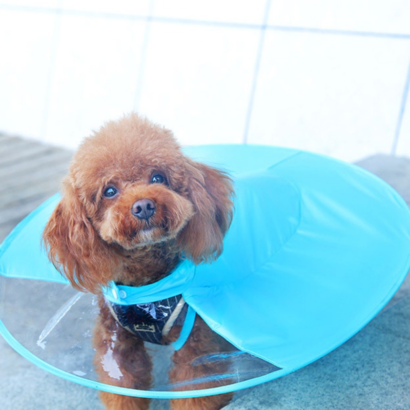 Detail Dog Raincoat Umbrella Nomer 50