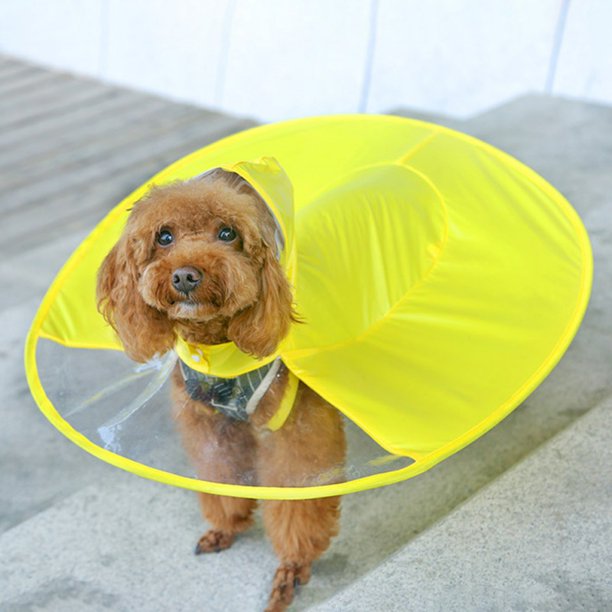 Detail Dog Raincoat Umbrella Nomer 8