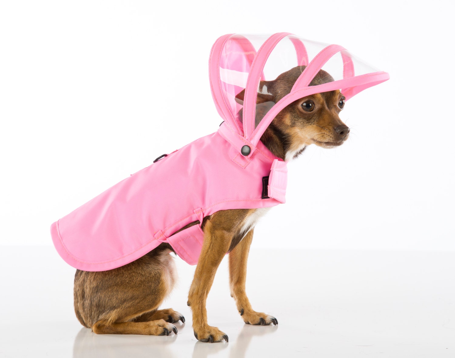 Detail Dog Raincoat Umbrella Nomer 10