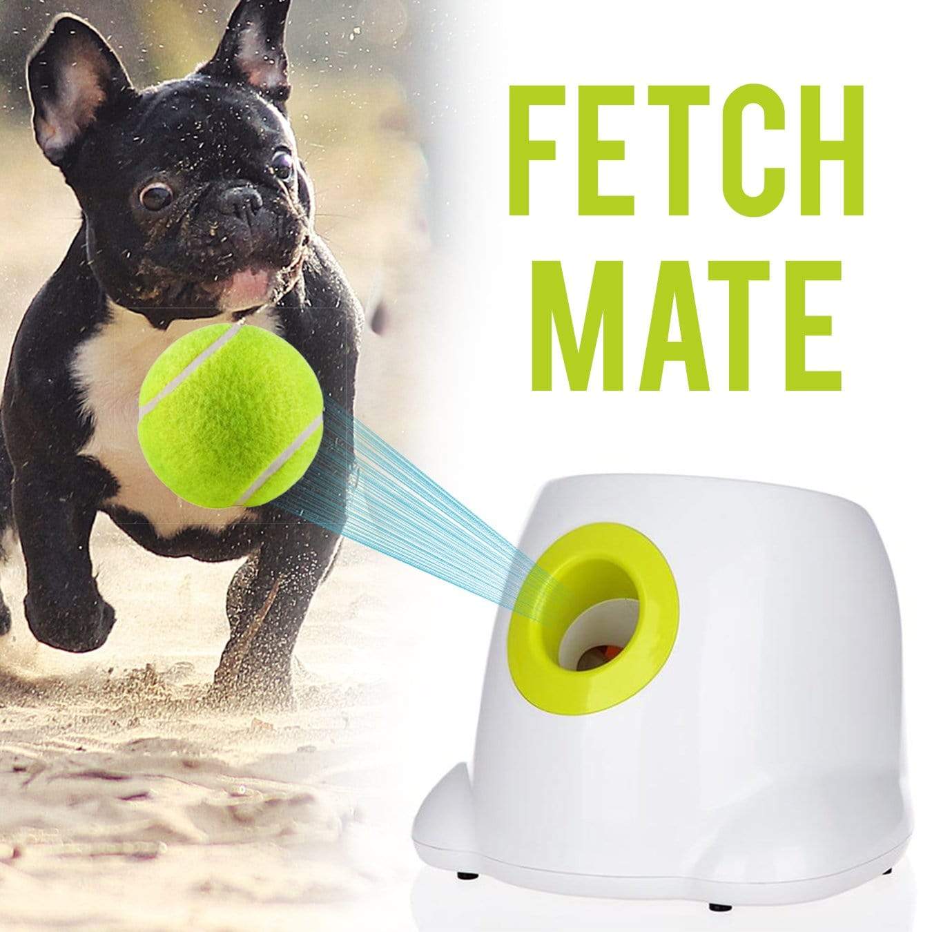 Detail Dog Tennis Ball Launcher Amazon Nomer 51