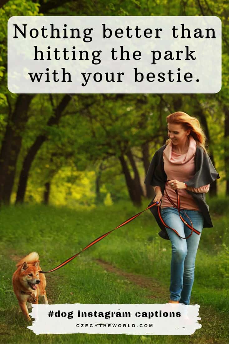 Detail Dog Walking Quotes Nomer 11