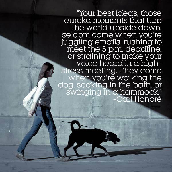 Detail Dog Walking Quotes Nomer 15