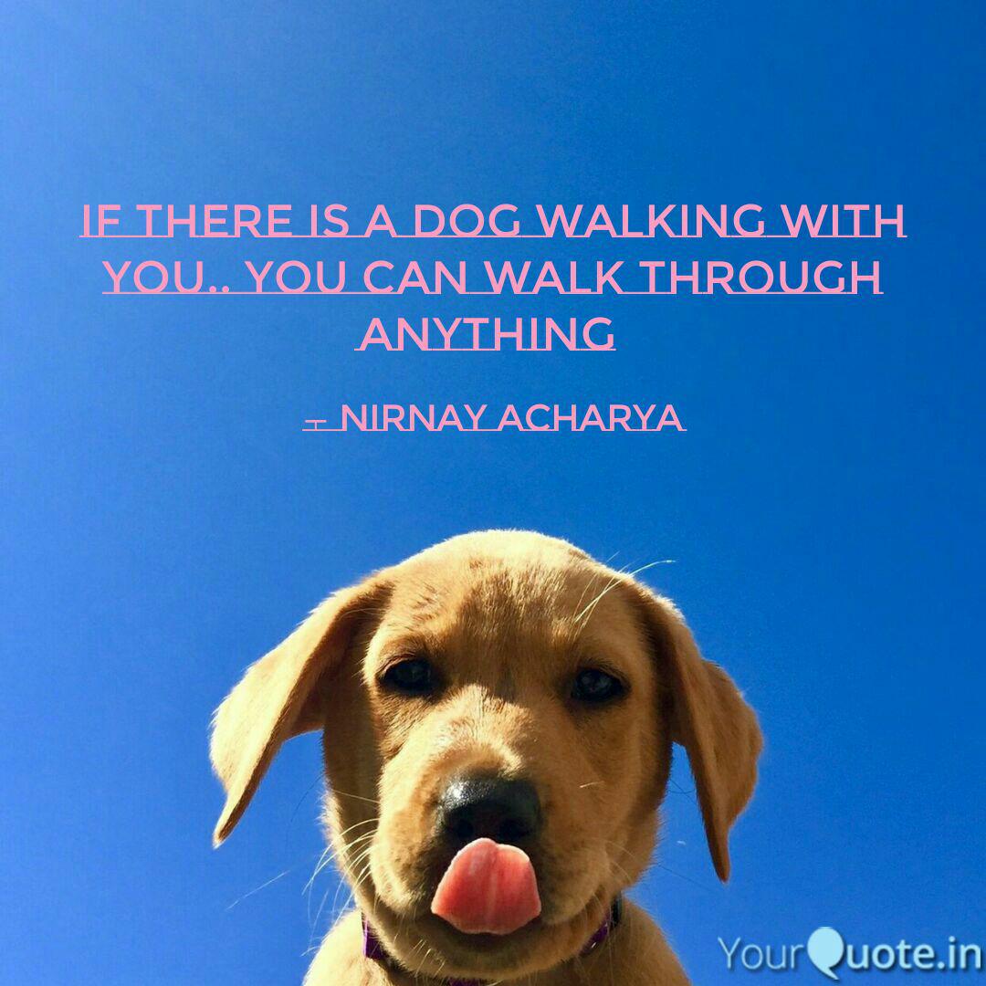 Detail Dog Walking Quotes Nomer 16