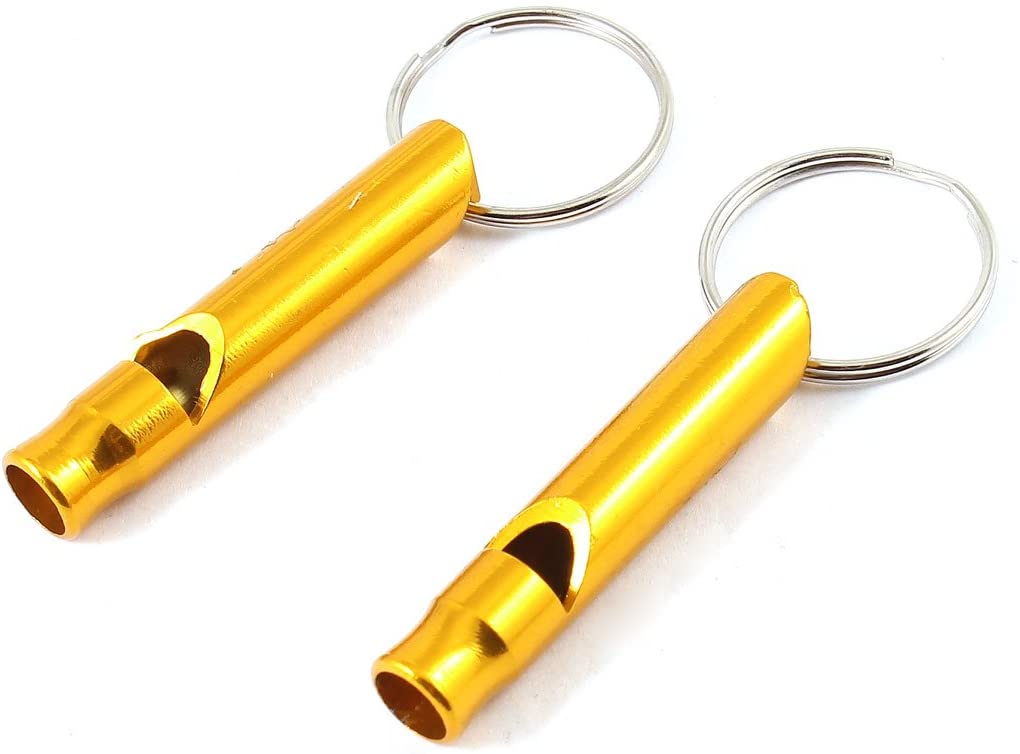 Detail Dog Whistle Keychain Nomer 12