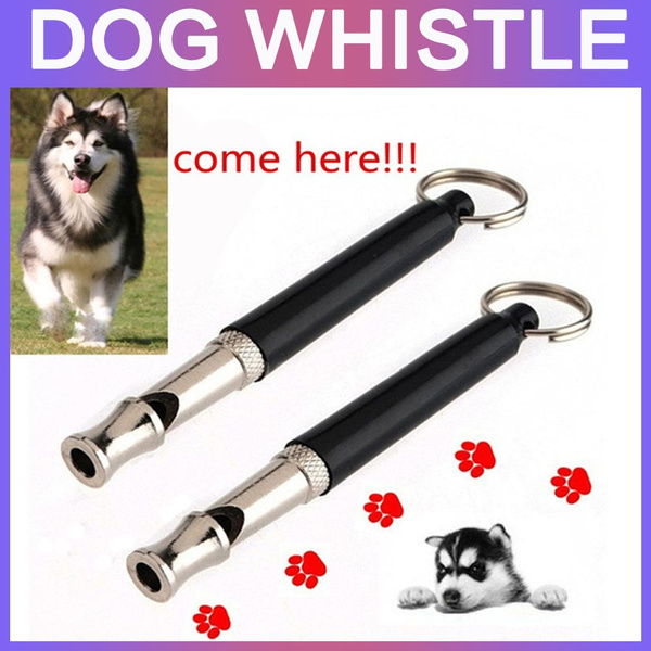 Detail Dog Whistle Keychain Nomer 15