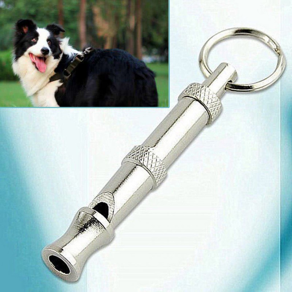 Detail Dog Whistle Keychain Nomer 3