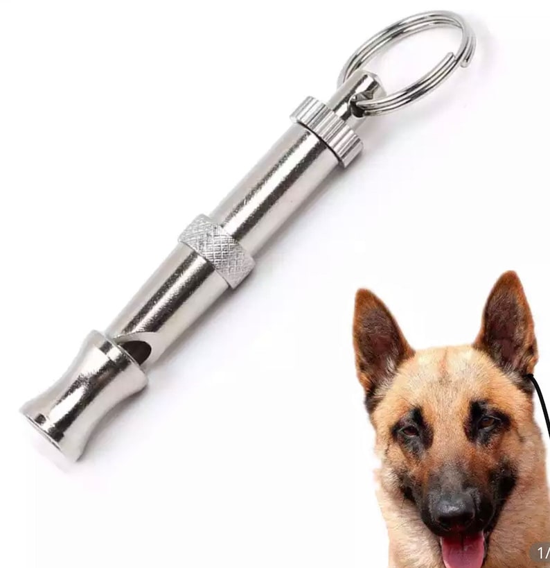 Detail Dog Whistle Keychain Nomer 20