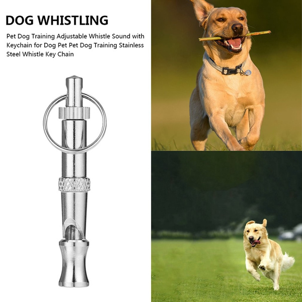 Detail Dog Whistle Keychain Nomer 26