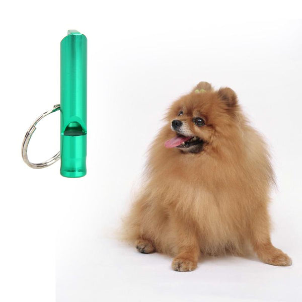 Detail Dog Whistle Keychain Nomer 32