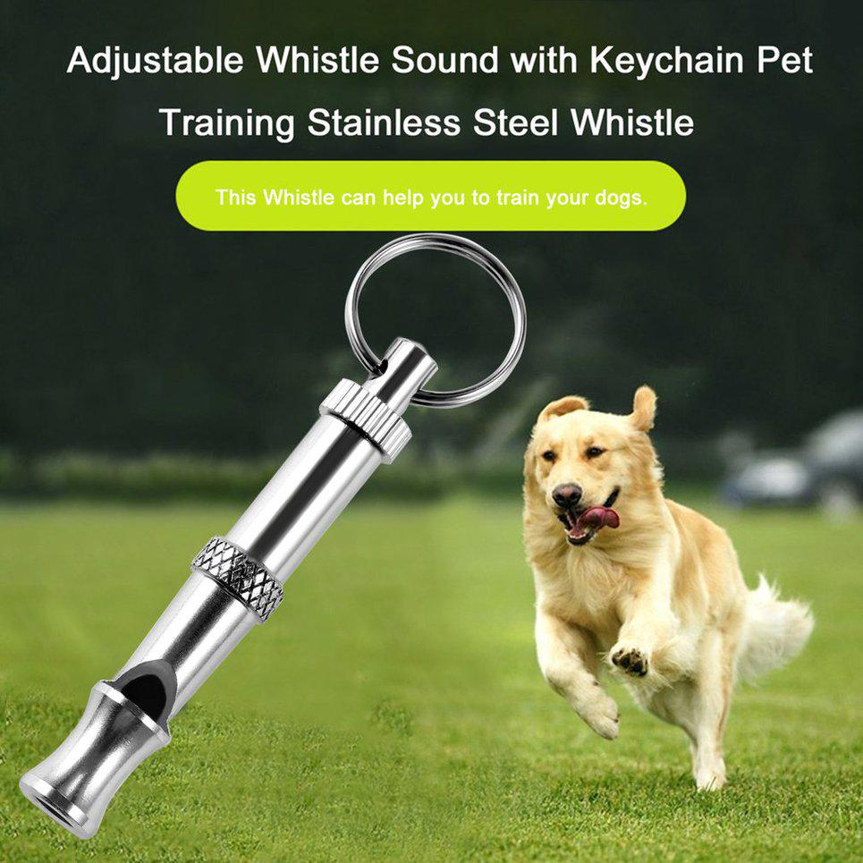 Detail Dog Whistle Keychain Nomer 36