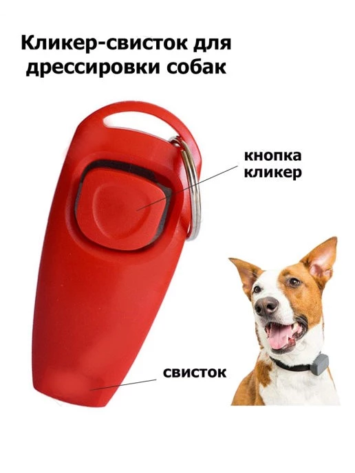 Detail Dog Whistle Keychain Nomer 59