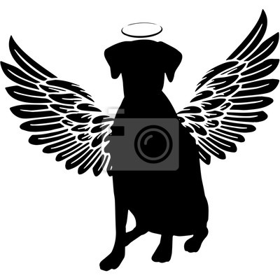 Detail Dog With Angel Wings Silhouette Nomer 11