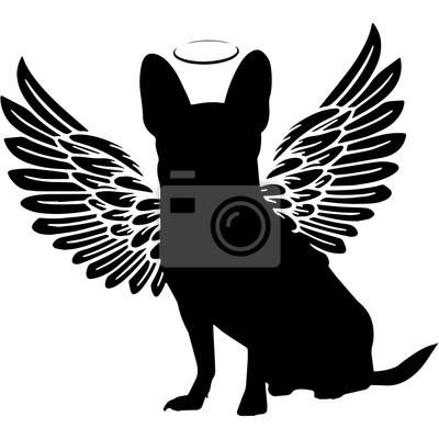 Detail Dog With Angel Wings Silhouette Nomer 13