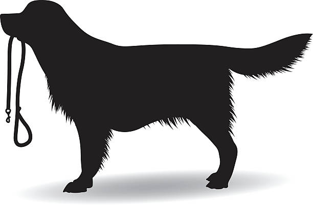 Detail Dog With Leash Clipart Nomer 36