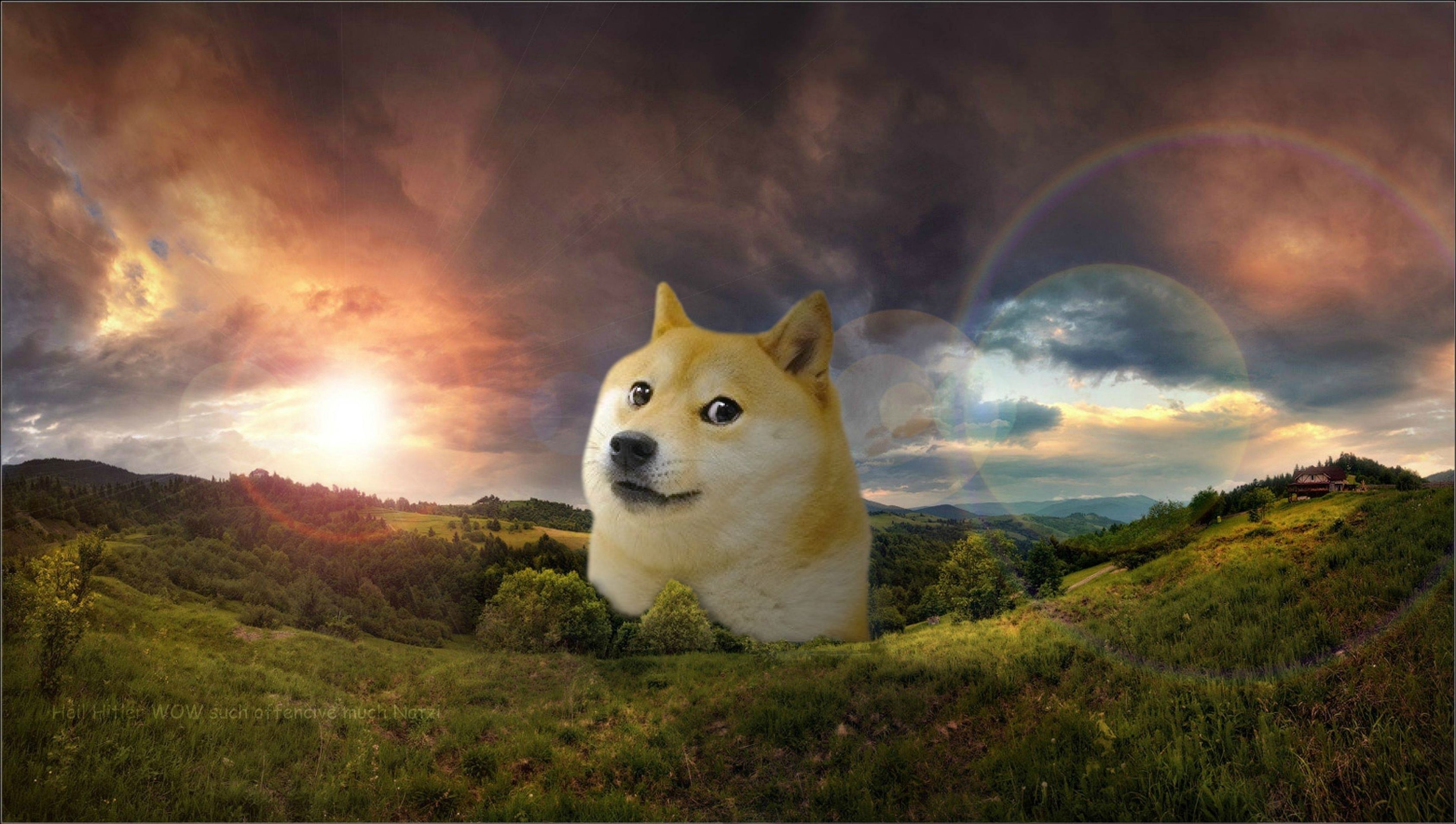 Doge Background - KibrisPDR