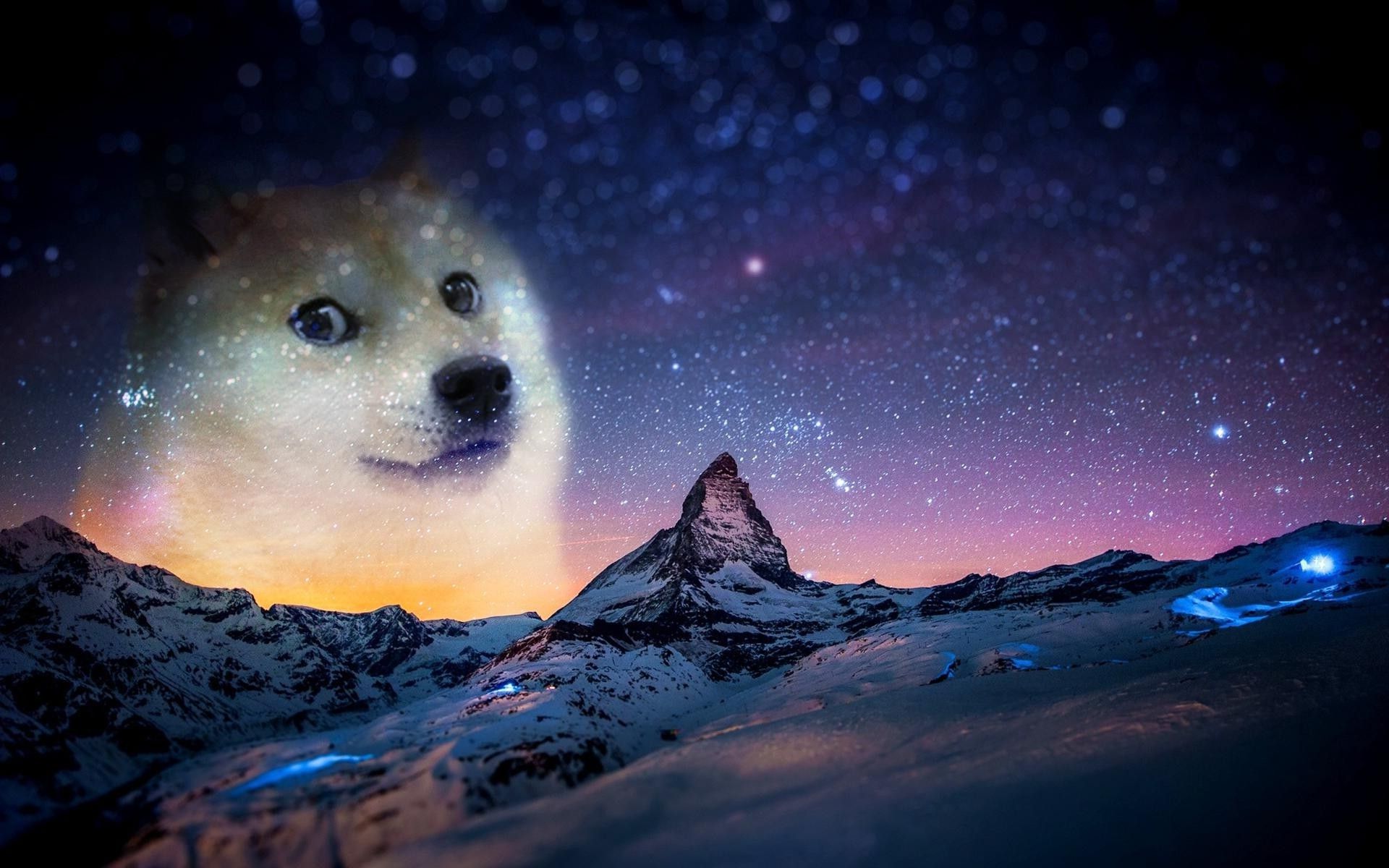 Detail Doge Background Nomer 4
