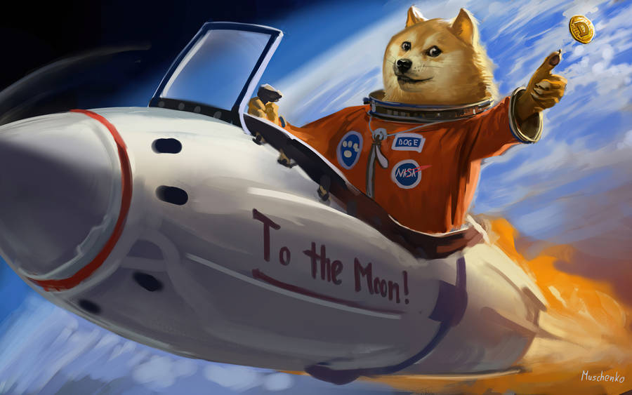 Detail Doge Background Nomer 34