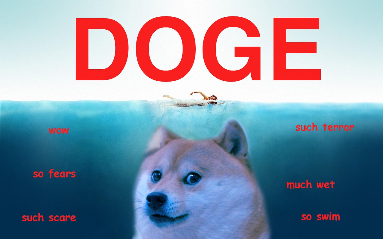 Detail Doge Background Nomer 44