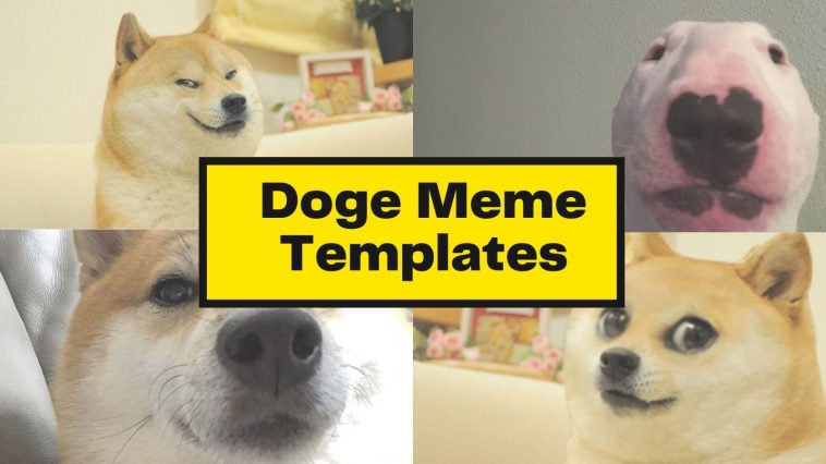 Detail Doge Background Nomer 50