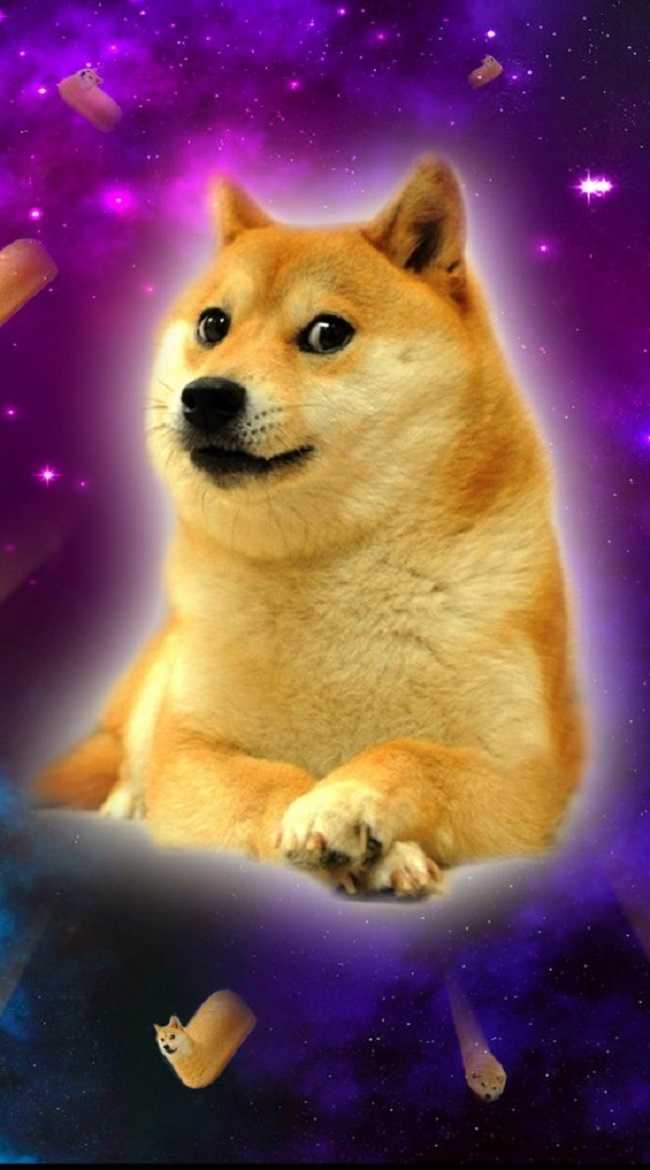 Detail Doge Background Nomer 51