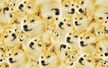 Detail Doge Background Nomer 8