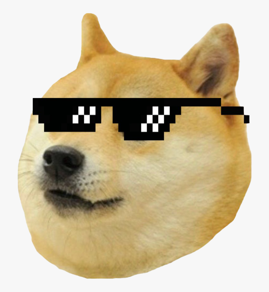 Detail Doge Face Png Nomer 8